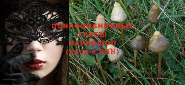 индика Семёнов