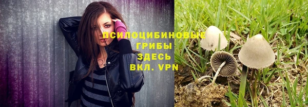 стафф Алзамай