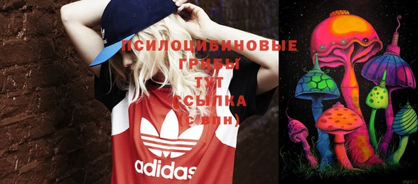 соль курить ск Алексеевка