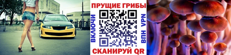 Галлюциногенные грибы мицелий  Бикин 